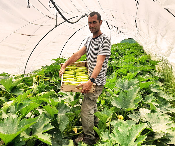 Les Restanques d’Aurélien, agriculture bio